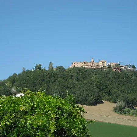 Bella Rosa Fratte Rosa