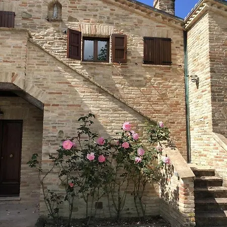 Bella Rosa * Fratte Rosa
