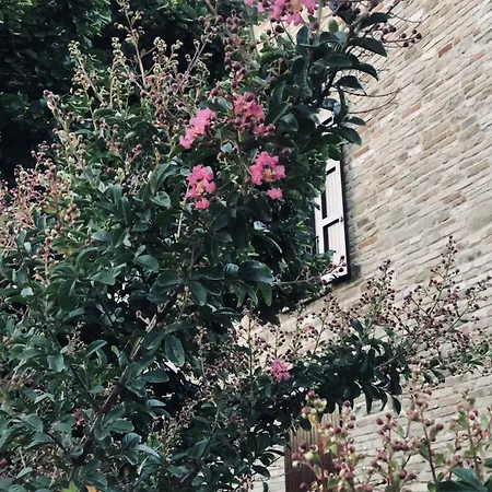 Hotel Bella Rosa Fratte Rosa